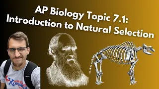 7.1 Introduction to Natural Selection - AP Biology