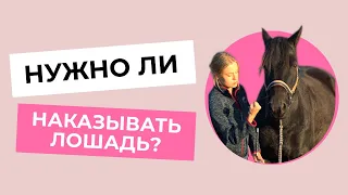 НАКАЗЫВАТЬ ЛОШАДЬ или НЕТ?