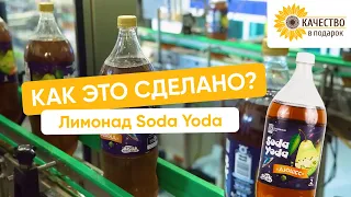 Как это сделано: секреты производства ваших любимых лимонадов SODA YODA!