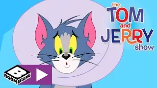 Tom i Jerry Show | Koci kołnierz | Cartoonito