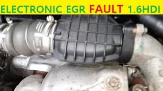 Engine with FAULTY electronic EGR, this is how it sounds, C4 Picasso 1.6hdi