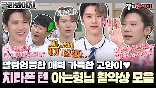 [골라봐야지] 한 번 빠지면 hair 나올 수 없는 텐냥이 NCT텐(TEN) 아는형님 활약상 모음집♥ㅣ아는형님ㅣJTBC 200829 방송