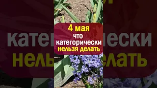 4 мая народный праздник Проклов день. Что нельзя делать. Народные приметы и традиции, суеверия