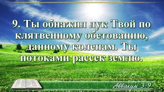 ВидеоБиблия Книга пророка Аввакума без музыки глава 3 Соколов