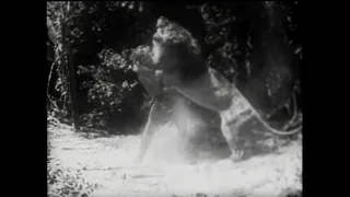 Tarzan the Fearless vs. Jungle Lion