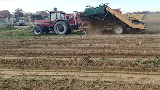 Potato Harvester