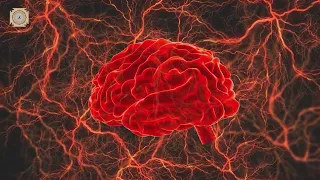 Increase Blood Flow To Hippocampus | Enhance Brain Oxygenation | Activate Brain Cells | Boost Memory