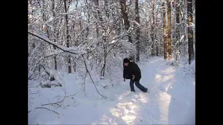 Ужас в лесу... Меня сразу сильно затрусило!!!