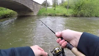 CREEK Fishing for Rainbow & Brown TROUT