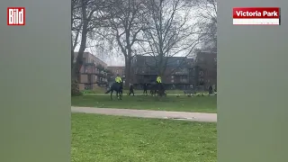 Hund greift Polizeipferd an und zerfleischt es.