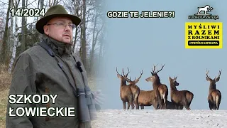 WOLF Plague in Poland | Field Damages Deer Hunting
