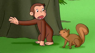 Das Eichhörnchen braucht Hilfe! | Coco der Neugierige | Cartoons für Kinder