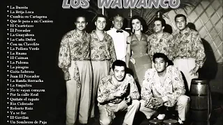 LOS WAWANCO 20 GRANDES EXITOS CANTA HERNAN ROJAS CD COMPLETO