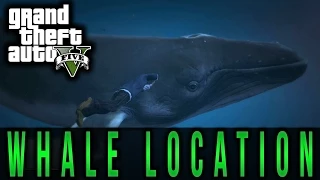 Gta 5 - Whale Location - Next Gen