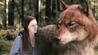 " بنت حبيبها  مصاص دماء وصاحبها بتكتشف انه مستذئب والاتنين بيحبوها   " ملخص فيلم twilight 2