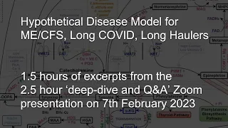 Hypothetical disease model presentation for ME/CFS, Long Covid, Long Haulers, by Joshua Leisk.