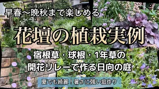 【早春〜晩秋までの開花リレーで作る庭】植えっぱなしの庭/オススメの春苗/#PWアンバサダー#PW #ガーデリンク