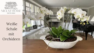 Arrange orchids effectively & tips for easy care for long-lasting blooms - DIY