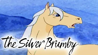 The Silver Brumby | Golden in Trouble and A Wombat on the Road | FULL EPISODES