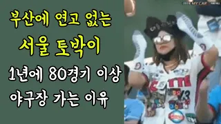 롯데자이언츠에 미친 여자