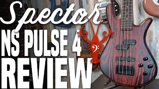 Spector NS Pulse 4 Review - Spector, It's time to ditch the Tone Pump Jr... - LowEndLobster Review
