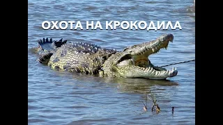 Охота на крокодила. (оз.Кариба. Зимбабве)