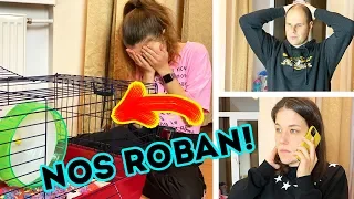 NOS ROBAN LA MASCOTA | **DESAPARECE** NUESTRO ERIZO | Yippee Family