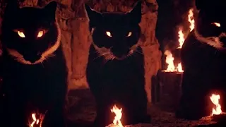 HP Lovecraft’s “Cats” | FR & AI Season 1 - Episode 13