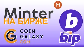 Как можно создать собственную криптовалюту? Чем интересен проект Minter. Bip криптовалюта Minter.