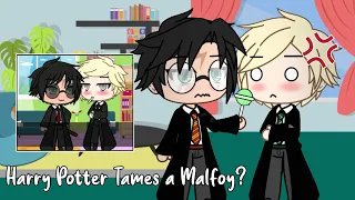 Harry Potter follows “how to tame a Malfoy” tutorial || Harco/Drarry skit || [Thanks for 20k!]