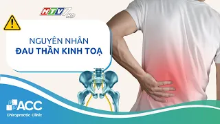 Đau thần kinh tọa: Triệu chứng và cách điều trị dứt điểm