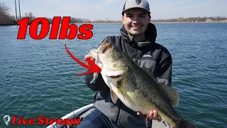 Easy Strategies to Catch The Biggest Bass In Your Lake ft. TylersReelFishing | FTM Livestream #121