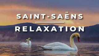 Saint-Saëns - The Swan | Relaxing Classical Cello and Piano Music | 1 HOUR