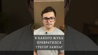 В какого жука превратился Грегор Замза? (Ф.Кафка «Превращение»)