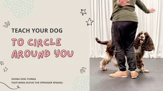 How To Teach Your Dog To Circle Around You