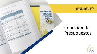 Comisión de Presupuestos (15/11/2022)