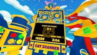 Cat Sorter VR Play Through