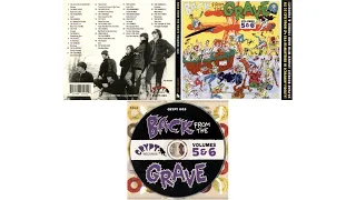 Back From The Grave Volumes 5 & 6