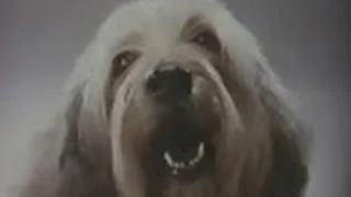 Meaty Bone - "Barkin' Good Treat" (Commercial, 1981)