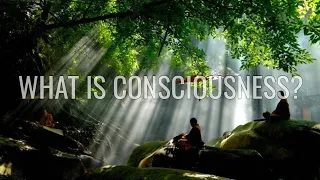 What is Consciousness? Part I of Consciousness: Evolution of the Mind (2021) Documentary