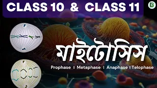 মাইটোসিস কোষ বিভাজন । WBBSE Class 10 Life science chapter 2 - kosh bivajon । BotanyTv