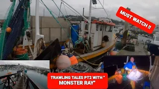 UK commercial Trawling pt2 MASSIVE RAY, other species i#uk #trawling #fishing #crab #boat #seafood