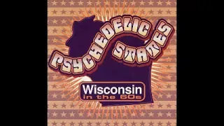 Various – Psychedelic States: Wisconsin In The 60s, Garage Psychedelic Fuzz Rock R&B Freakbeat ALBUM