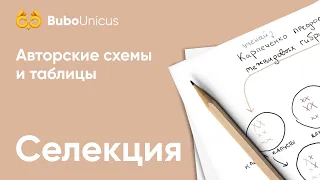 Селекция | БИОЛОГИЯ ЕГЭ | Лина Клевер