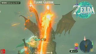 The Legend of Zelda TOTK - "How to Defeat Flame Greeok Dragon & Bridge of Hylia