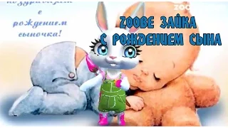 Zoobe Зайка. С рождением Сына!