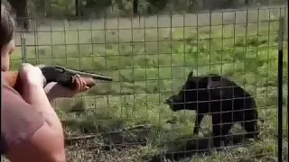 BOAR VS. BUCKSHOT