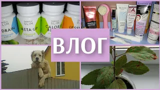 ВЛОГ💃Худеем с Фаберлик, полочка с уходом 🧫, соседская 🐕 и многое другое 😉