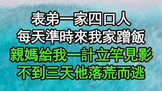 表弟一家四口人，每天準時來我家蹭飯，親媽給我一計立竿見影，不到三天他落荒而逃#深夜淺讀 #為人處世 #生活經驗 #情感故事