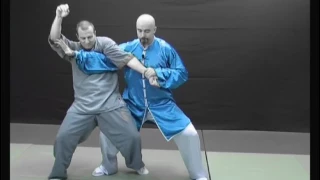 Taiji Quan style Chen vol.5 Applications martiales